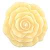 Creamy Yellow Rose Floating Candles